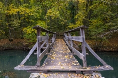 Woodland Paths