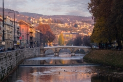 Bridges and Light