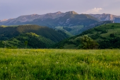 The Mountains, TheFields